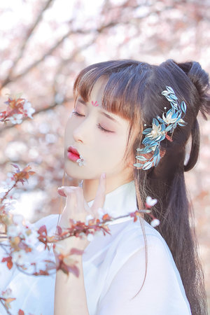 精品视频2020在线视频